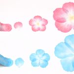 「花びらミニ ピンク」「花びら ピンク」「花びらミニ ブルー」「花びら ブルー」の違い