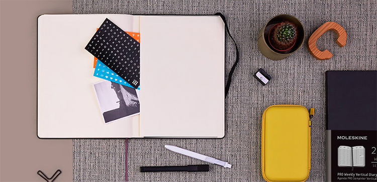 MOLESKINE